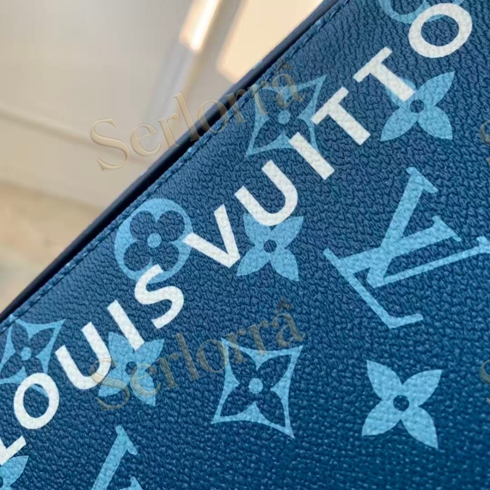 LOUIS VUITTON DISTRICT PM