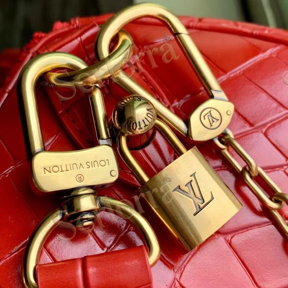 LOUIS VUITTON SPEEDY P9 BANDOULIÈRE 25