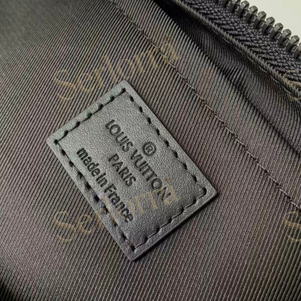 LOUIS VUITTON HAMAC BAG PM