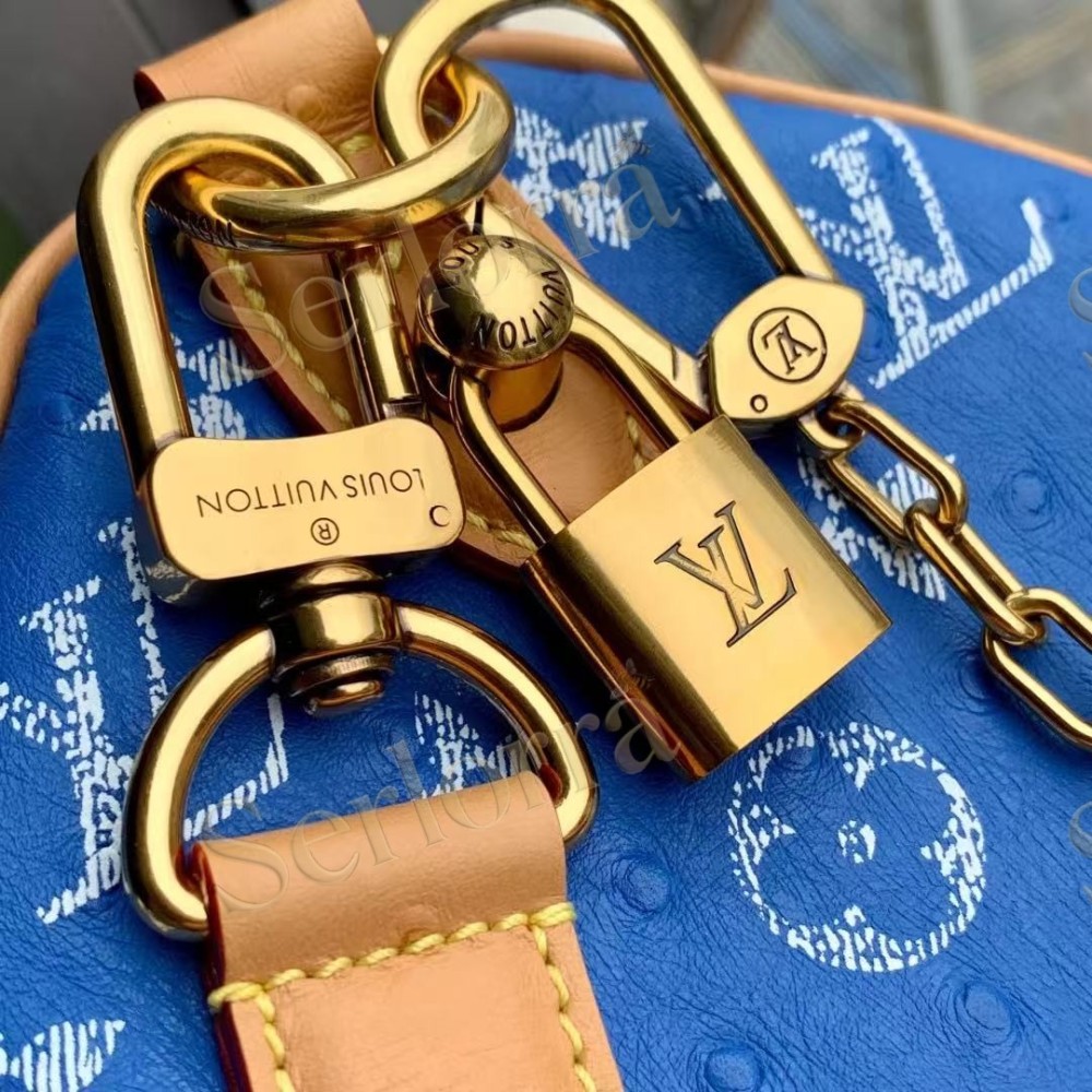 LOUIS VUITTON SPEEDY P9 BANDOULIÈRE 25