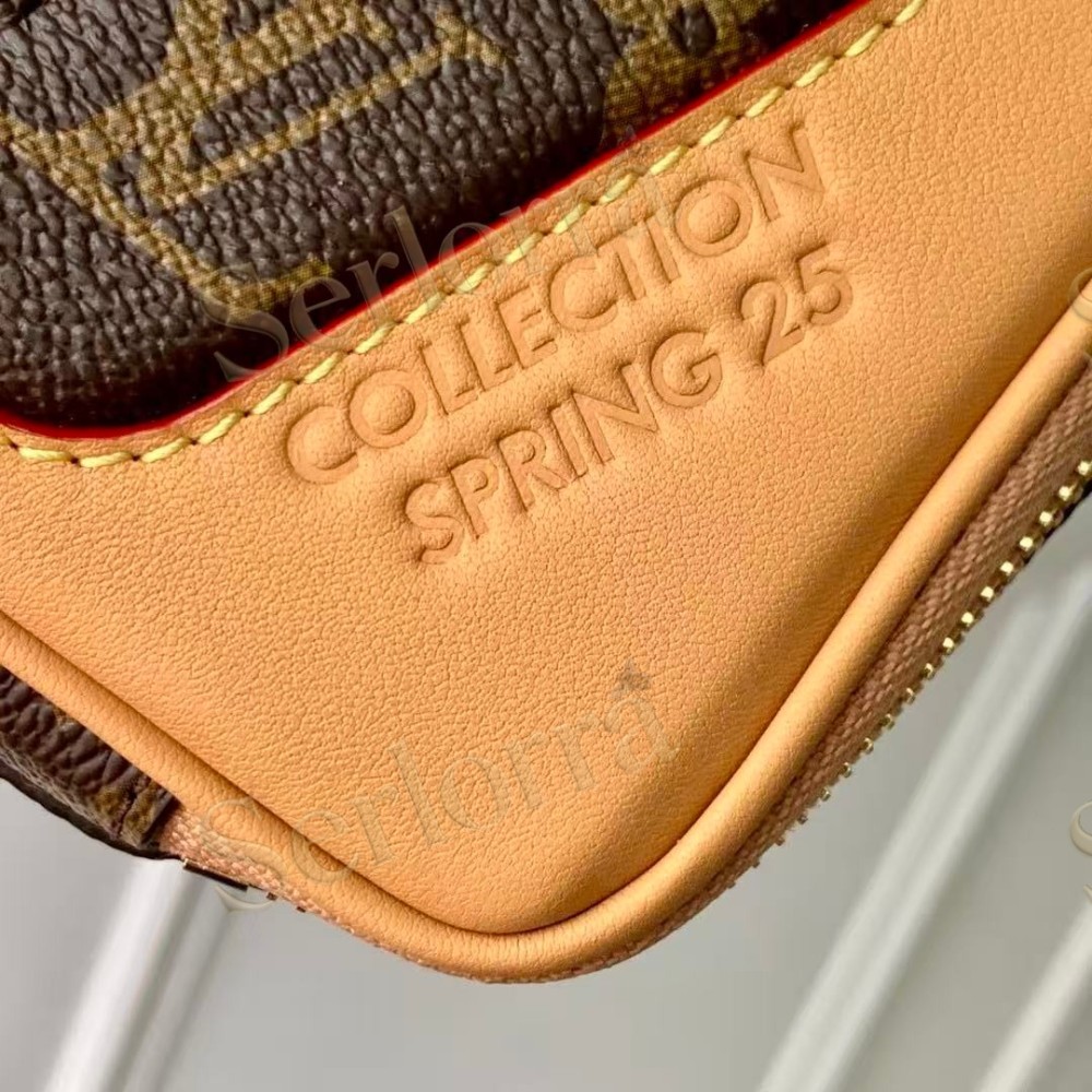 LOUIS VUITTON BALADEUR WEARABLE WALLET
