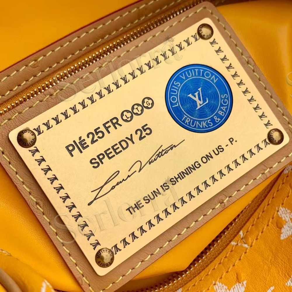 LOUIS VUITTON SPEEDY P9 BANDOULIÈRE 25
