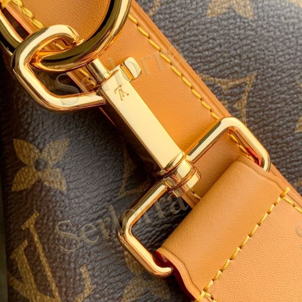 LOUIS VUITTON VAGABOND HOBO
