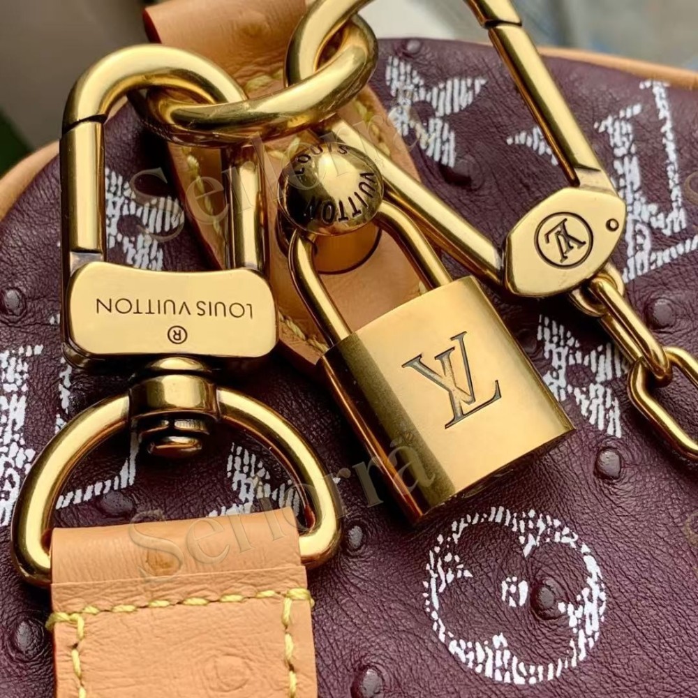 LOUIS VUITTON SPEEDY P9 BANDOULIÈRE 25