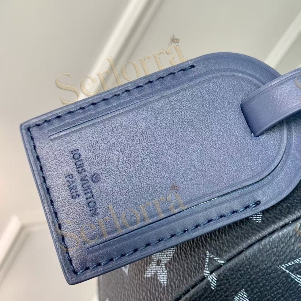 LOUIS VUITTON HAMAC BAG PM