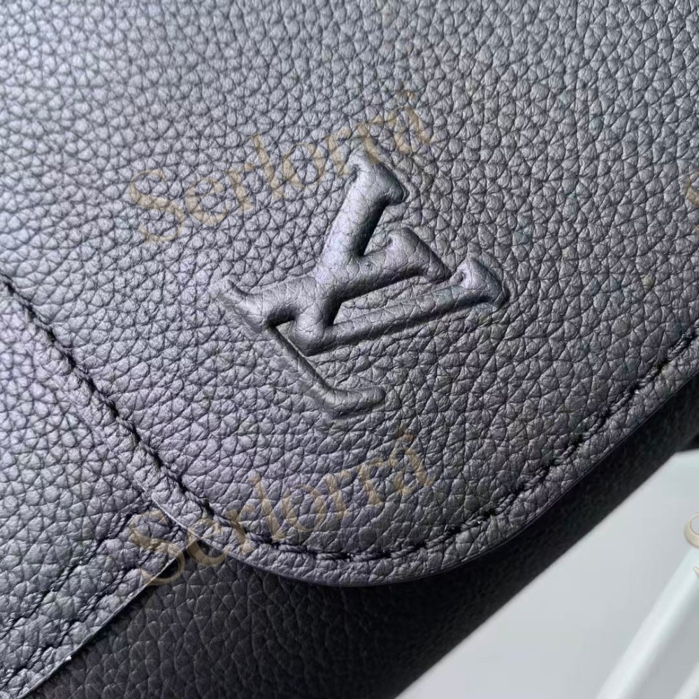 LOUIS VUITTON SPEED MESSENGER