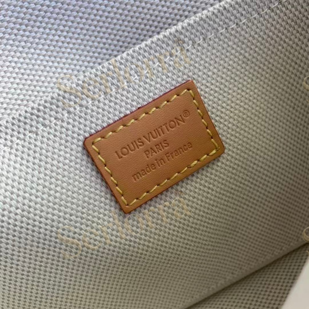 LOUIS VUITTON SATCHEL WEARABLE WALLET