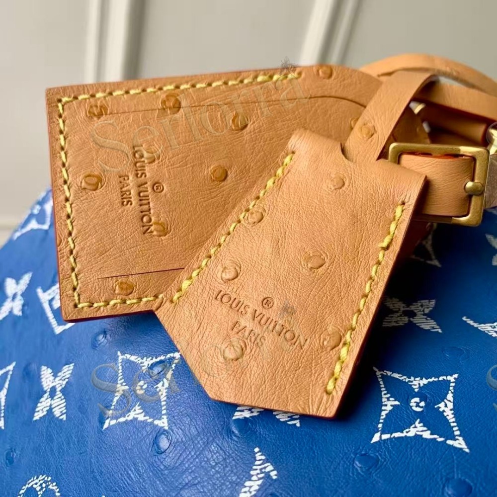 LOUIS VUITTON SPEEDY P9 BANDOULIÈRE 25