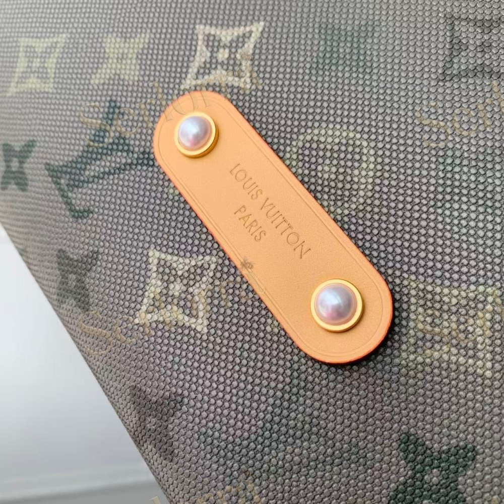 LOUIS VUITTON VAGABOND HOBO