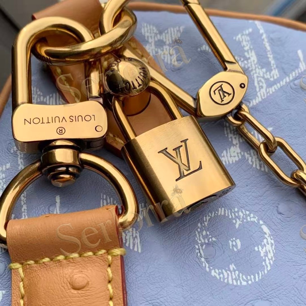 LOUIS VUITTON SPEEDY P9 BANDOULIÈRE 25