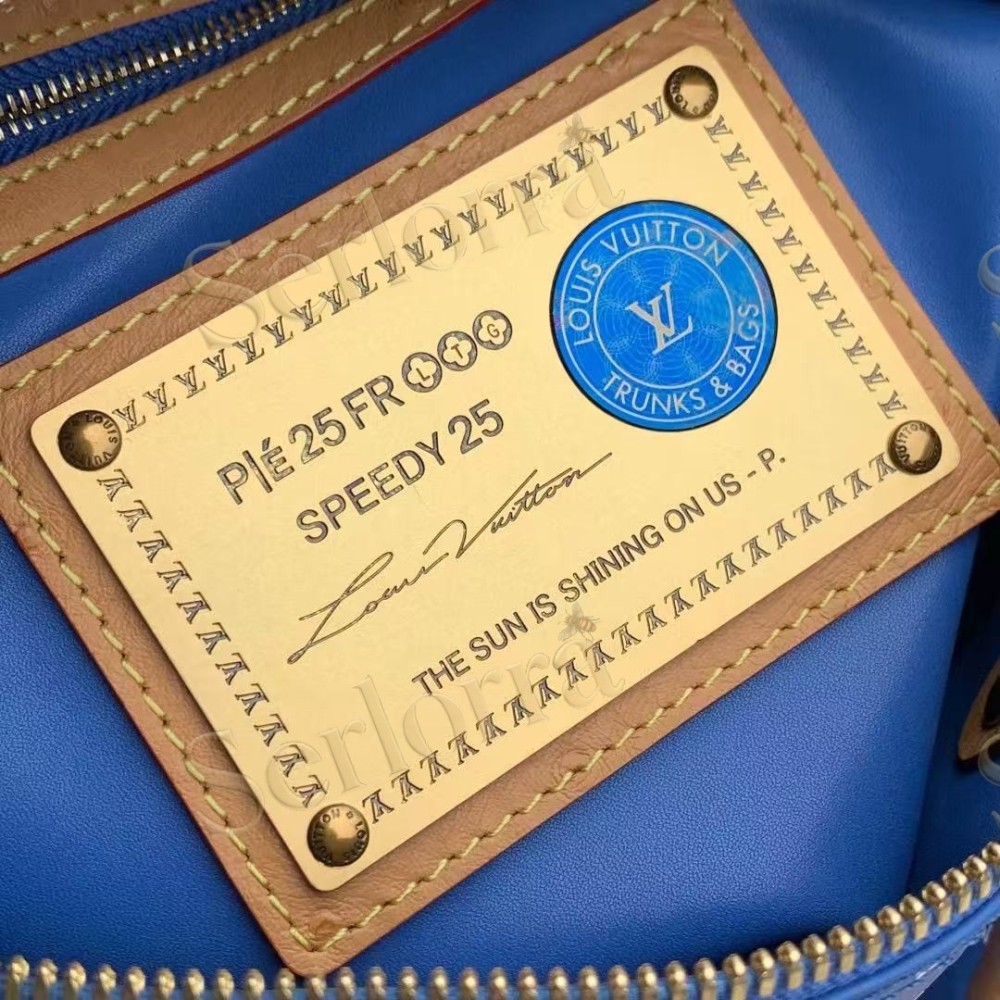 LOUIS VUITTON SPEEDY P9 BANDOULIÈRE 25