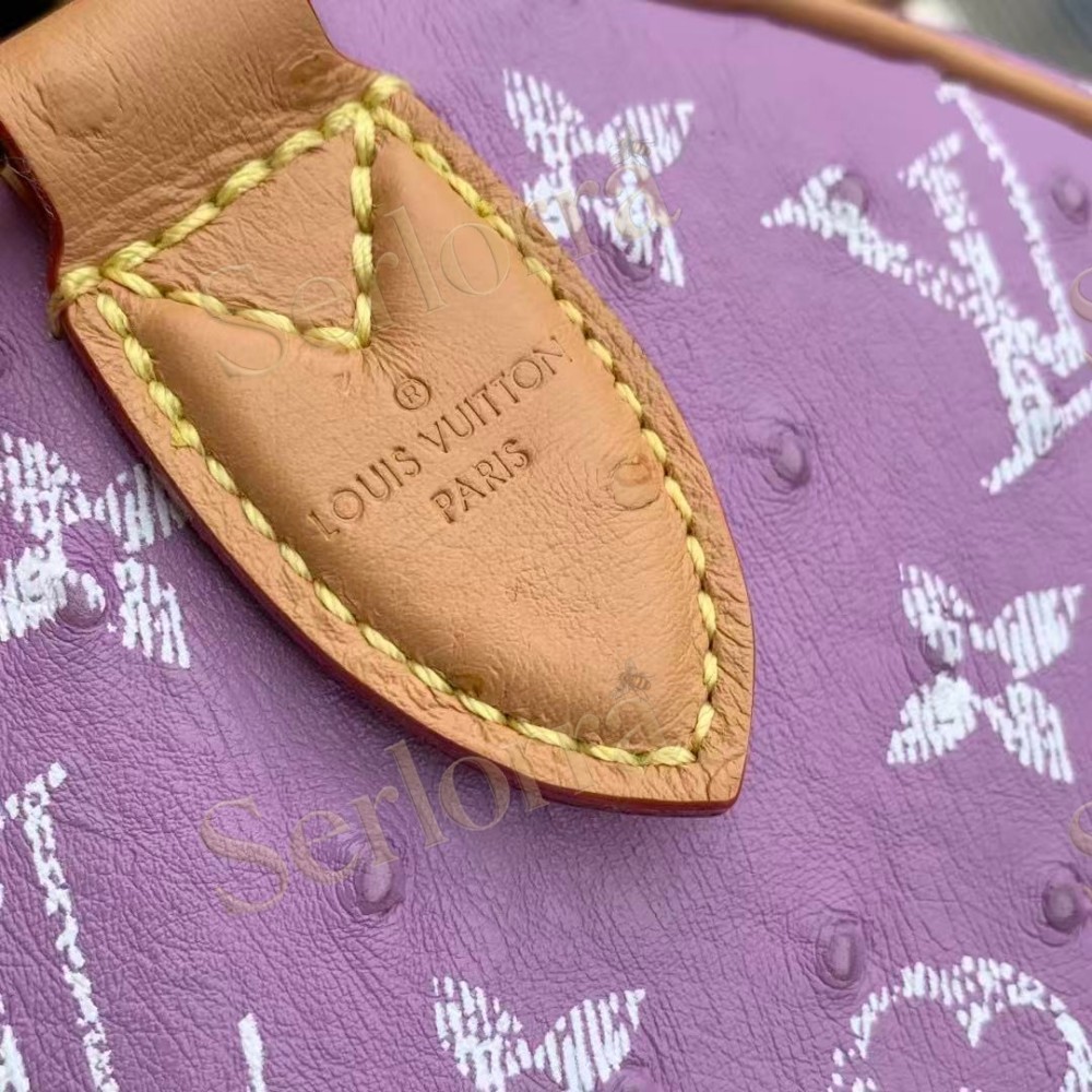 LOUIS VUITTON SPEEDY P9 BANDOULIÈRE 25