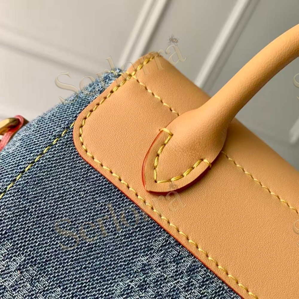 LOUIS VUITTON NANO STEAMER