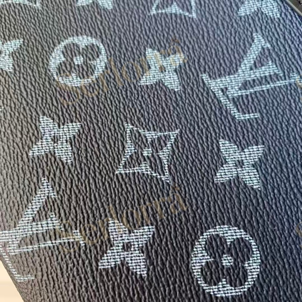 LOUIS VUITTON GASTON WEARABLE WALLET