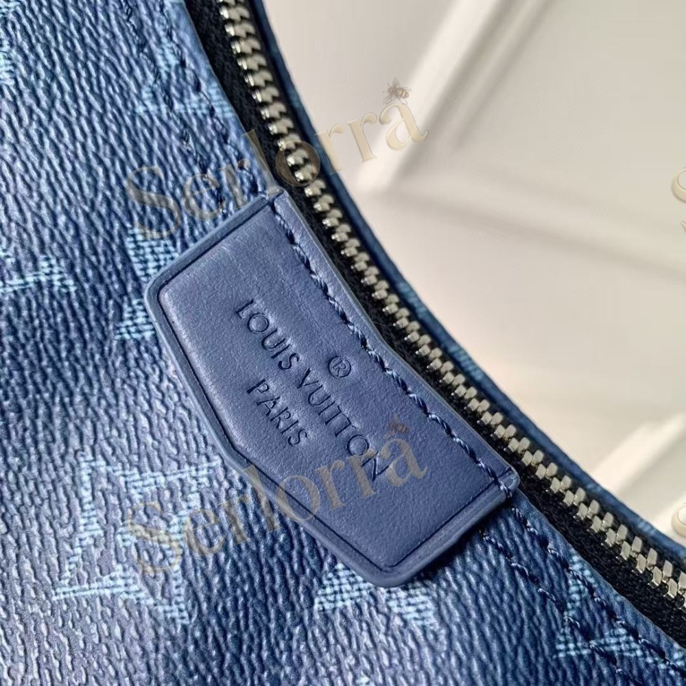 LOUIS VUITTON HAMAC BAG PM