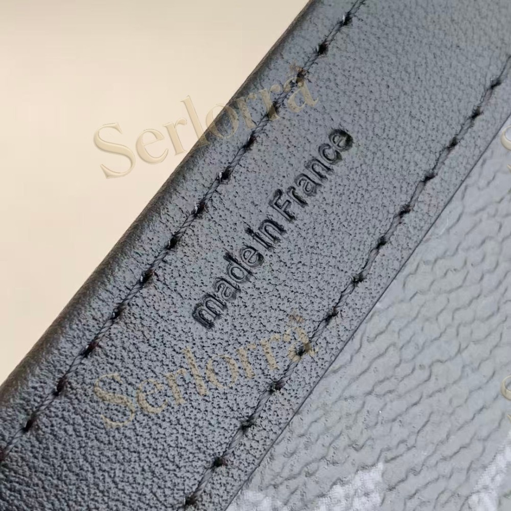 LOUIS VUITTON GASTON WEARABLE WALLET