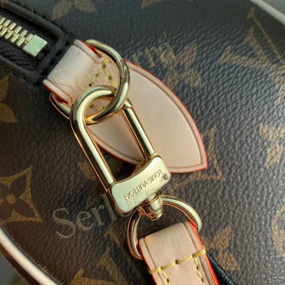 LOUIS VUITTON SPEEDY BANDOULIÈRE 20