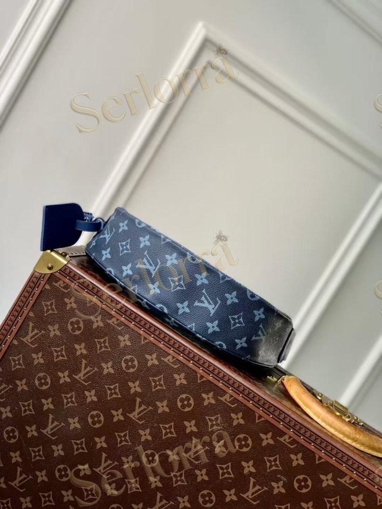LOUIS VUITTON HAMAC BAG PM