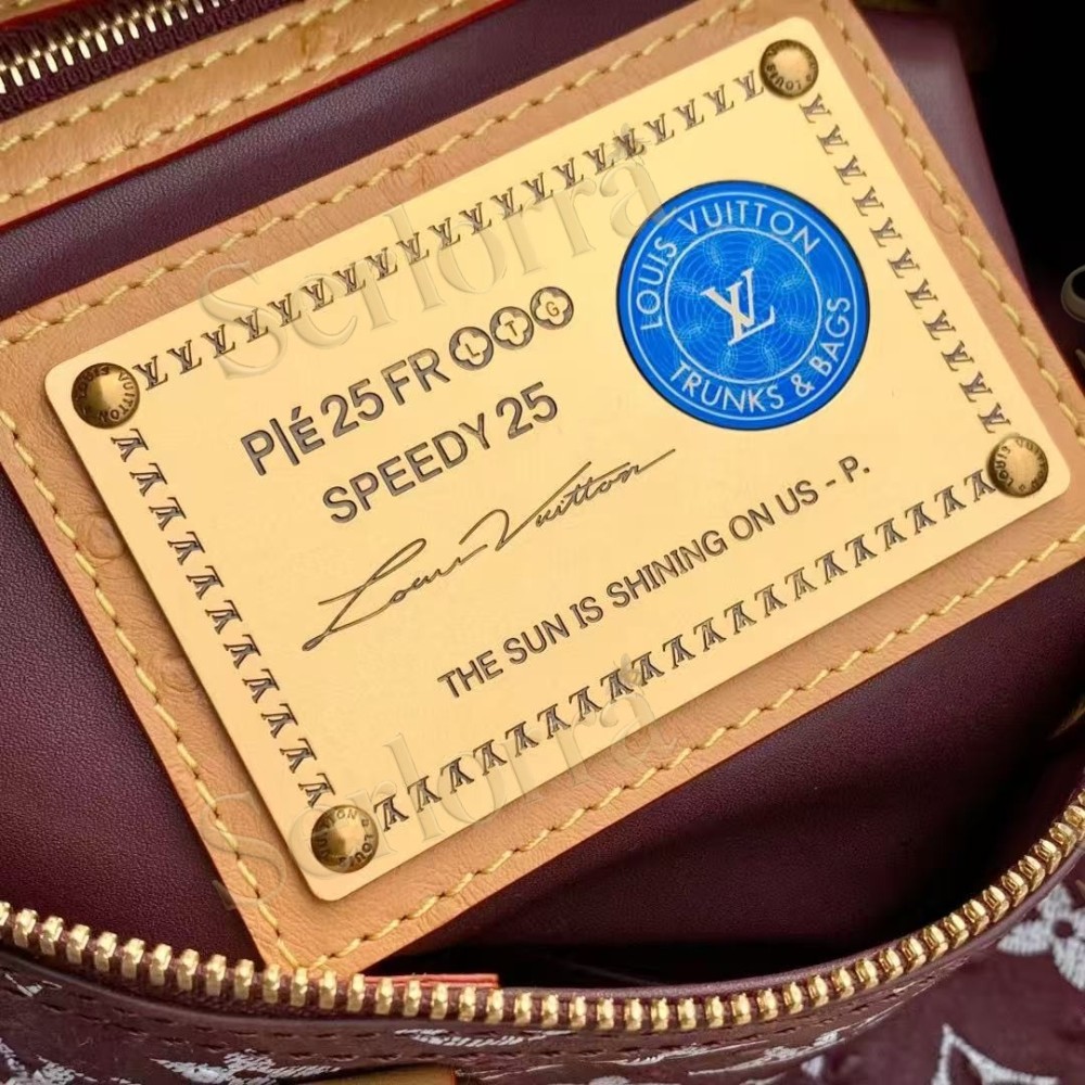 LOUIS VUITTON SPEEDY P9 BANDOULIÈRE 25
