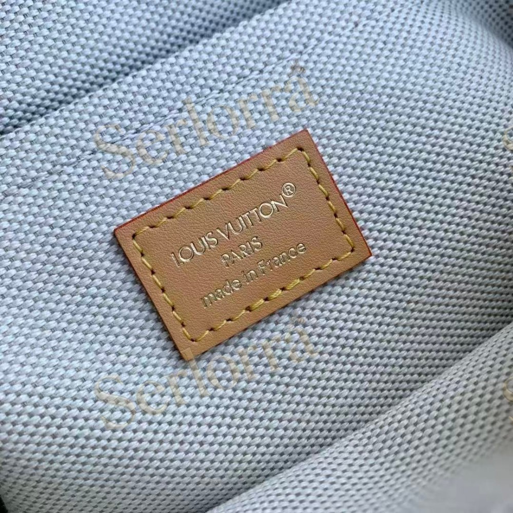 LOUIS VUITTON DELTA SLINGBAG