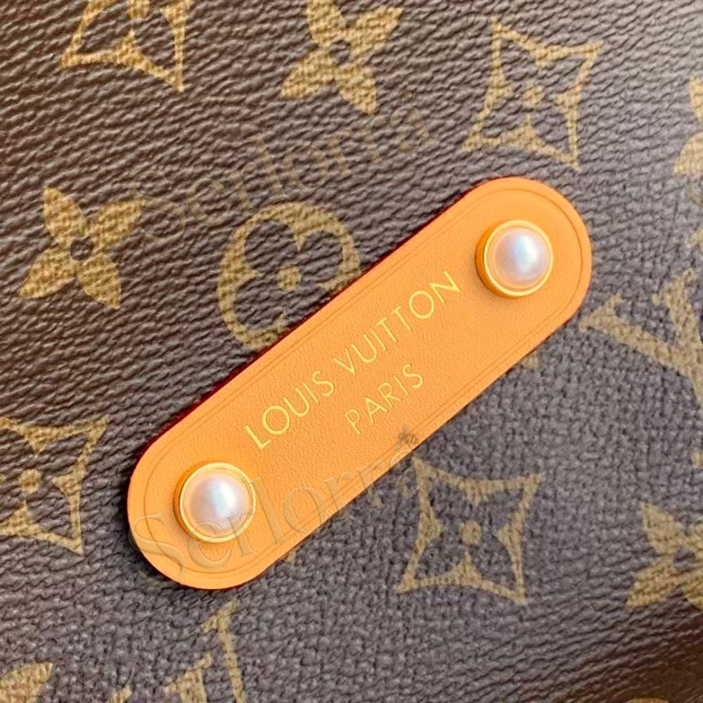 LOUIS VUITTON VAGABOND HOBO