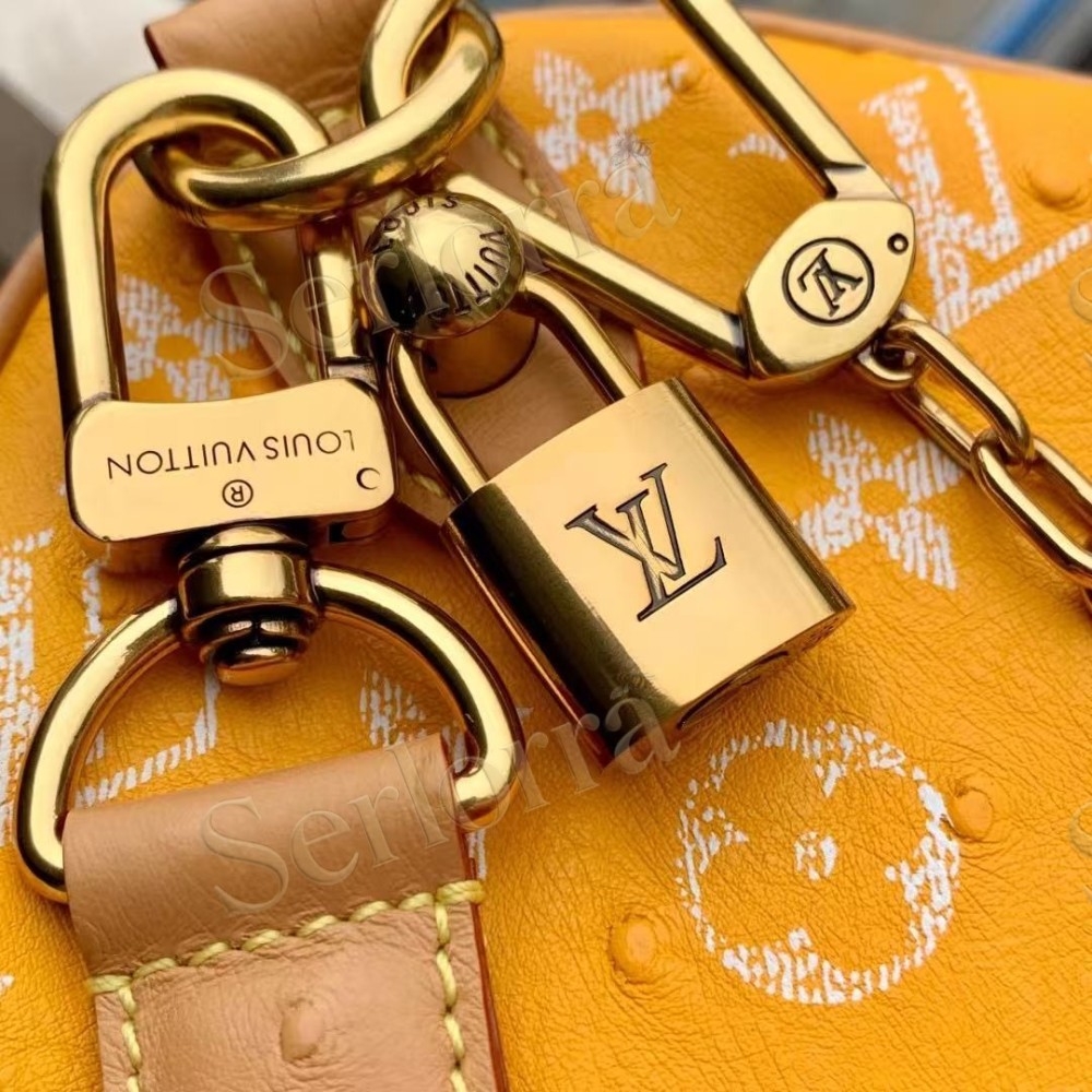 LOUIS VUITTON SPEEDY P9 BANDOULIÈRE 25