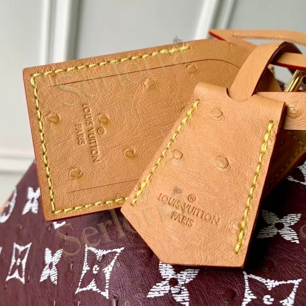 LOUIS VUITTON SPEEDY P9 BANDOULIÈRE 25