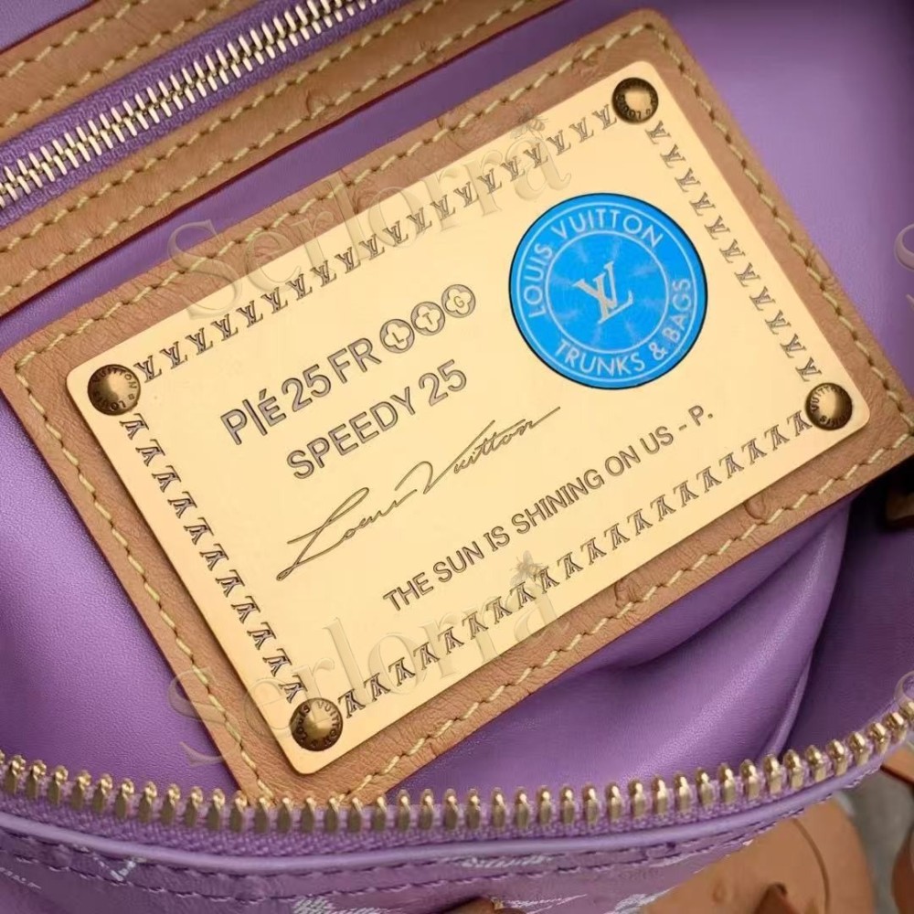 LOUIS VUITTON SPEEDY P9 BANDOULIÈRE 25