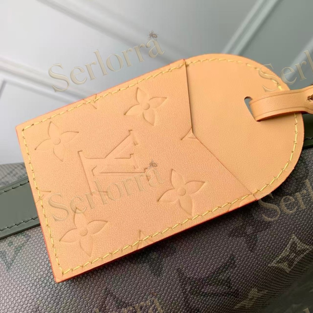 LOUIS VUITTON VAGABOND HOBO