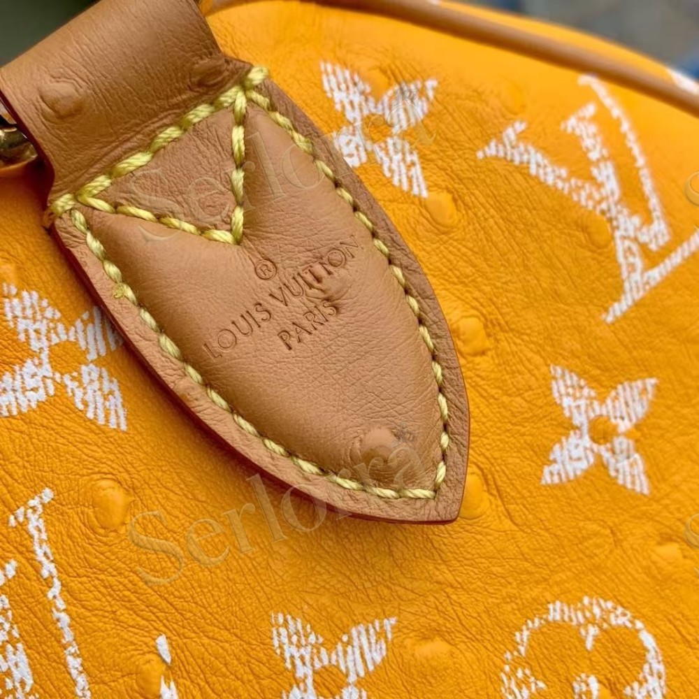 LOUIS VUITTON SPEEDY P9 BANDOULIÈRE 25