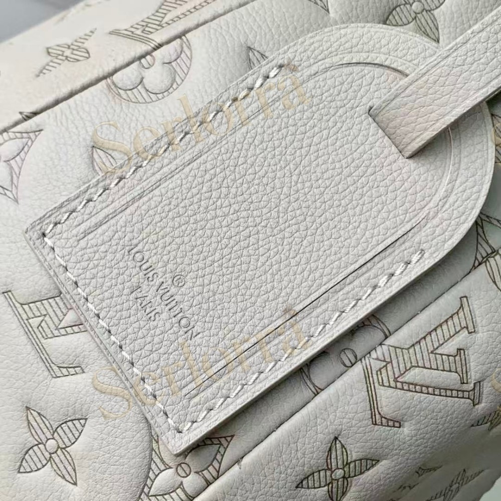 LOUIS VUITTON HOBO HAMAC