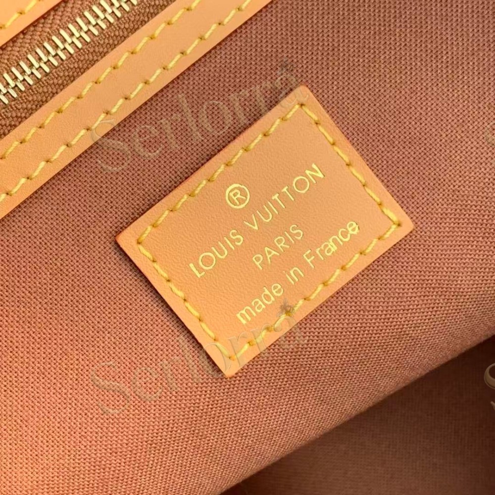 LOUIS VUITTON VAGABOND HOBO