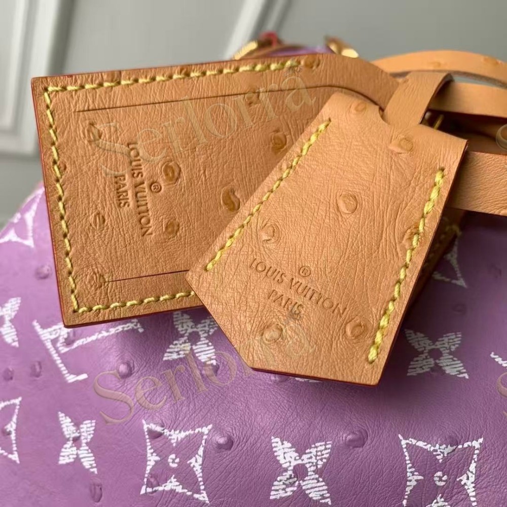 LOUIS VUITTON SPEEDY P9 BANDOULIÈRE 25
