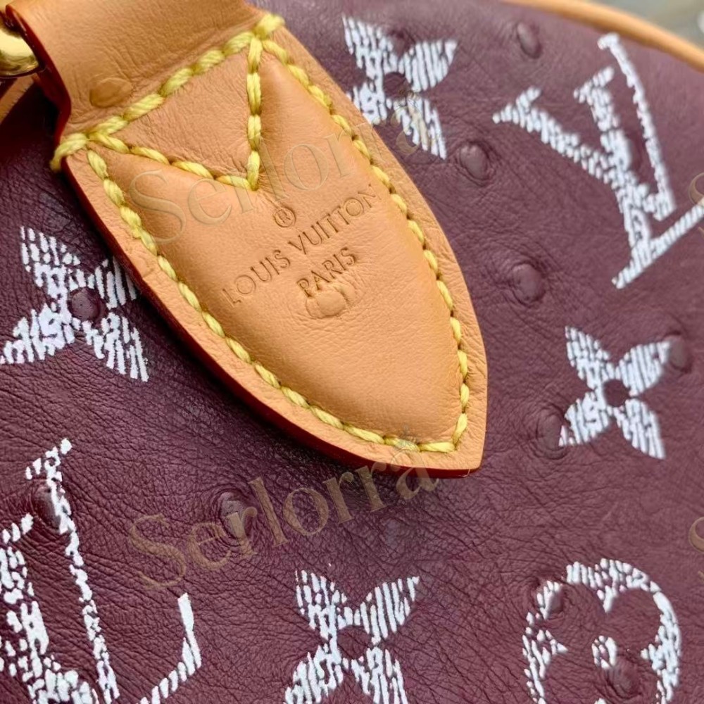 LOUIS VUITTON SPEEDY P9 BANDOULIÈRE 25