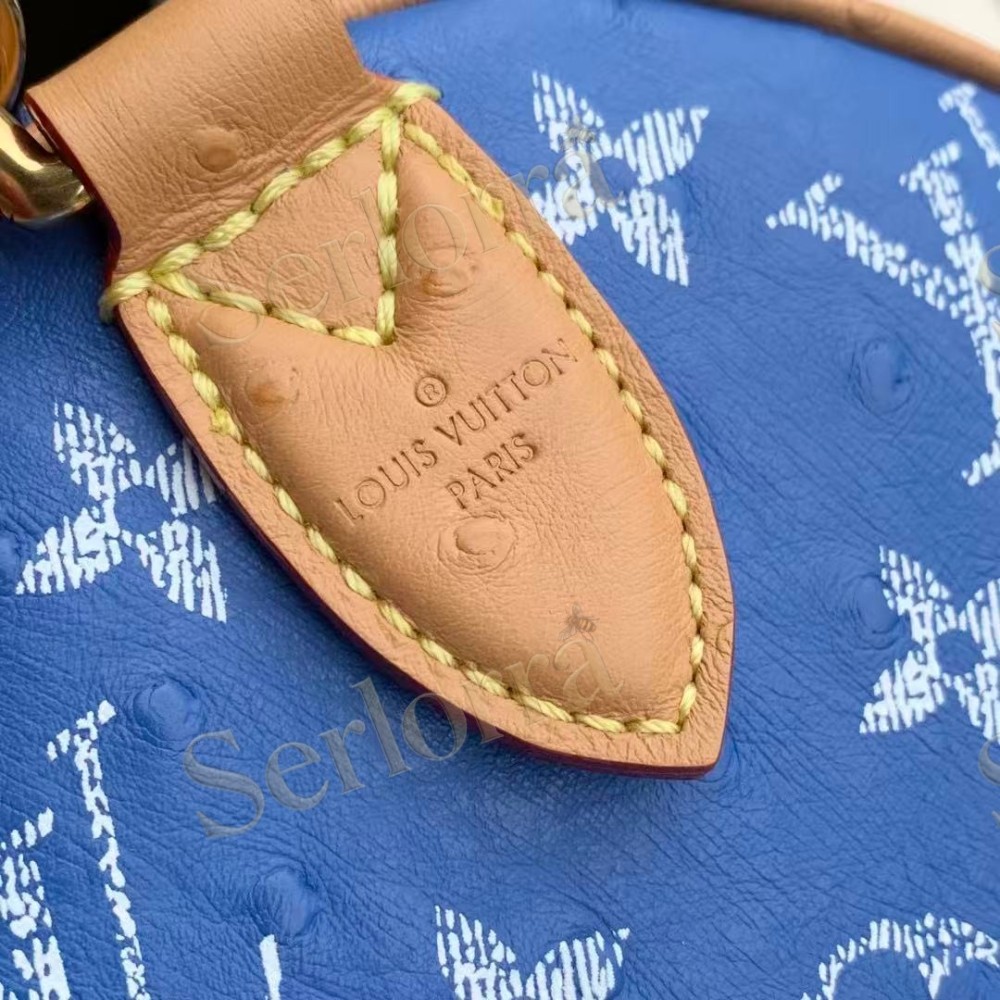 LOUIS VUITTON SPEEDY P9 BANDOULIÈRE 25