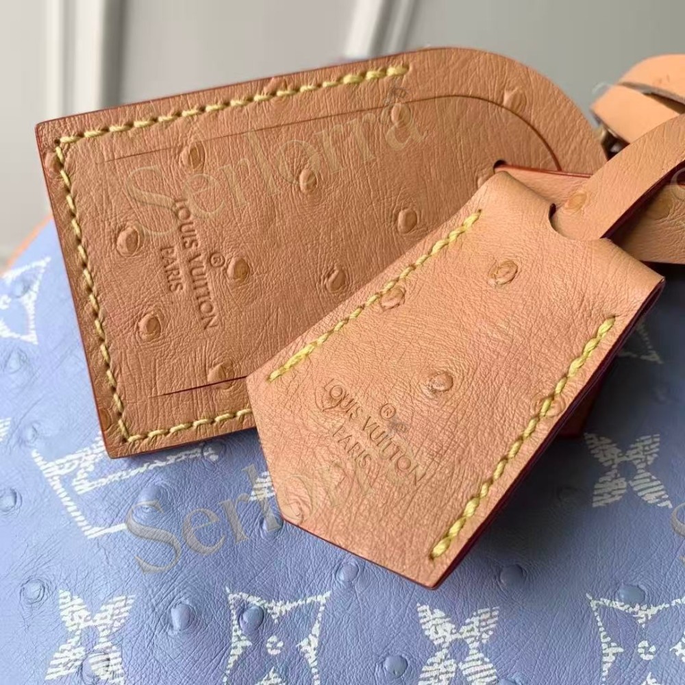 LOUIS VUITTON SPEEDY P9 BANDOULIÈRE 25
