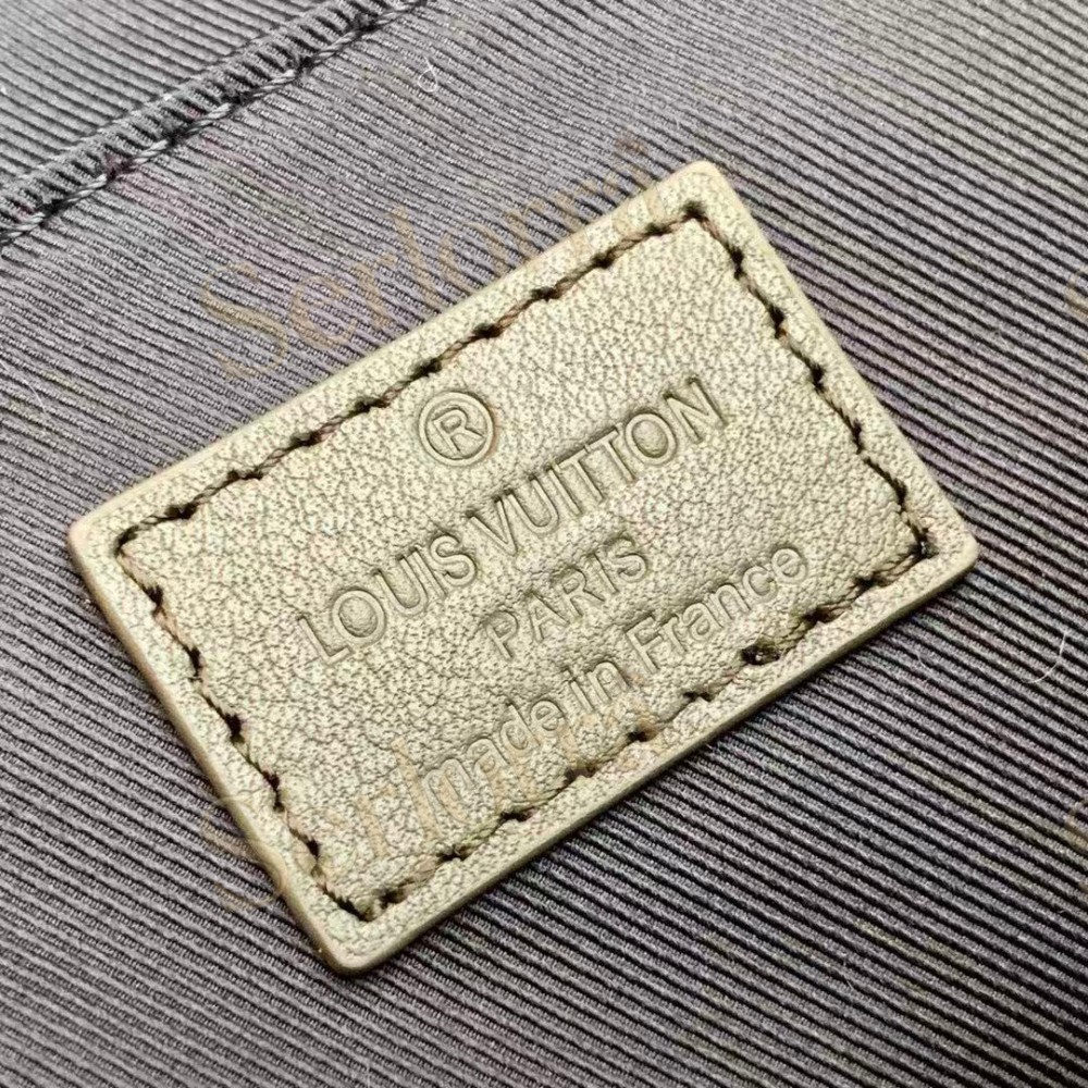 LOUIS VUITTON TRUNK SLING BAG