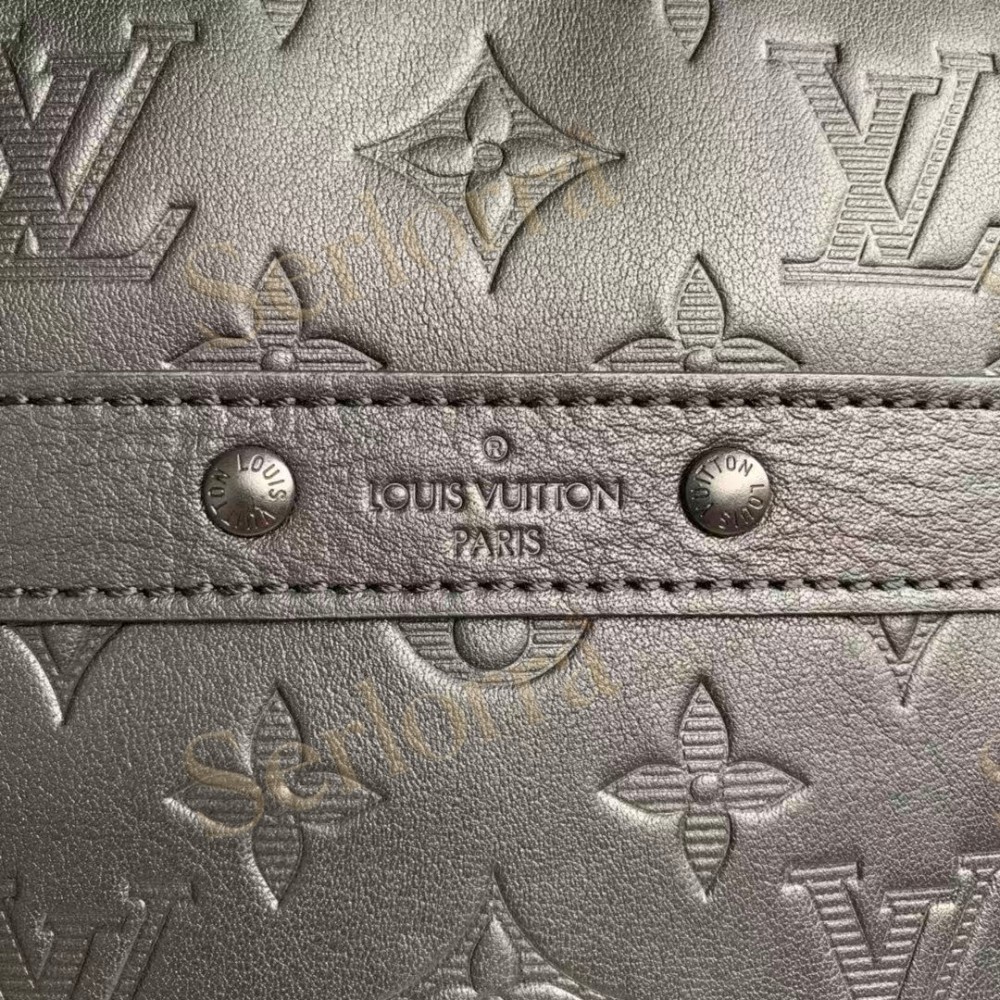 LOUIS VUITTON DANUBE SHADOW PM