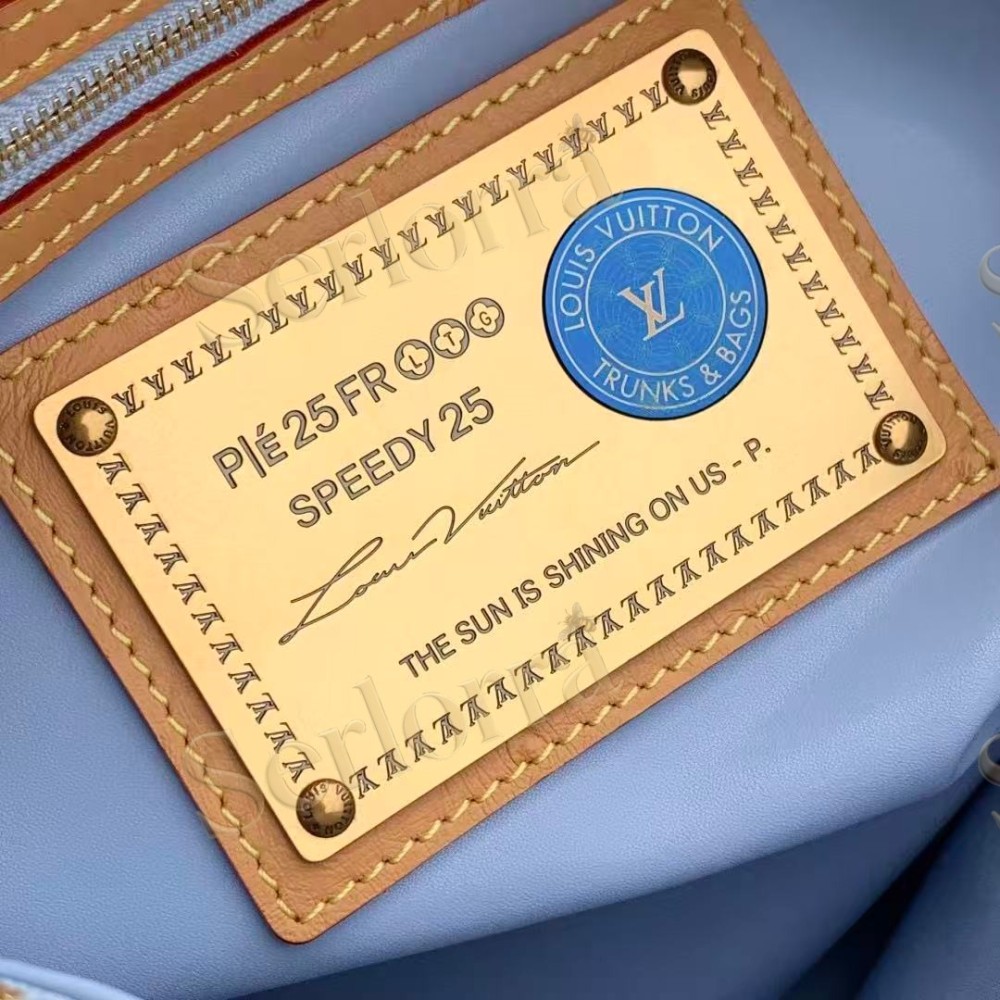 LOUIS VUITTON SPEEDY P9 BANDOULIÈRE 25