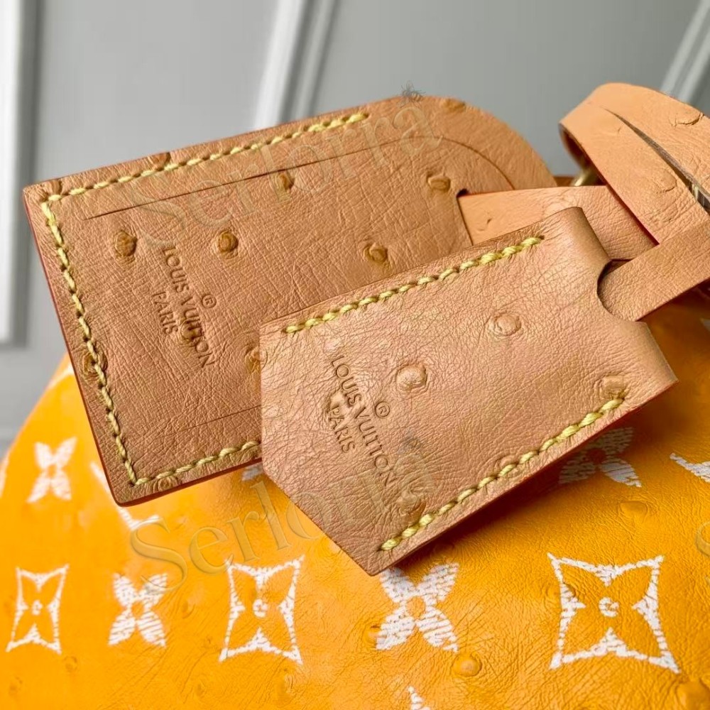 LOUIS VUITTON SPEEDY P9 BANDOULIÈRE 25