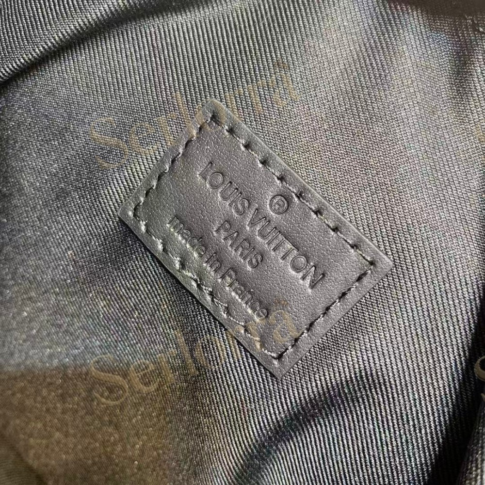 LOUIS VUITTON HANDLE SOFT TRUNK