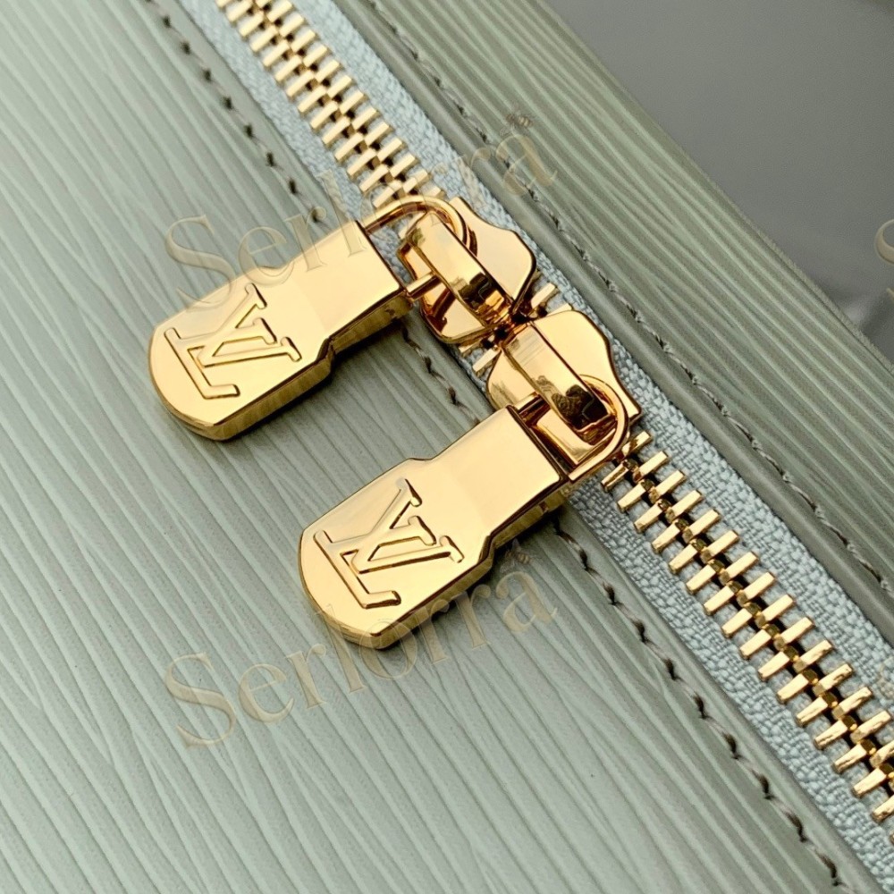 LOUIS VUITTON NICE NANO