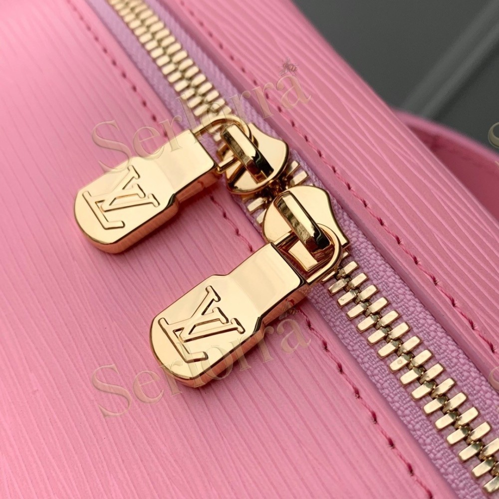 LOUIS VUITTON NICE NANO