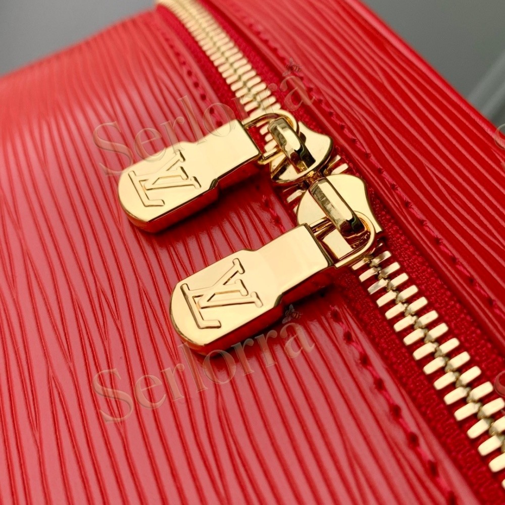 LOUIS VUITTON NICE NANO