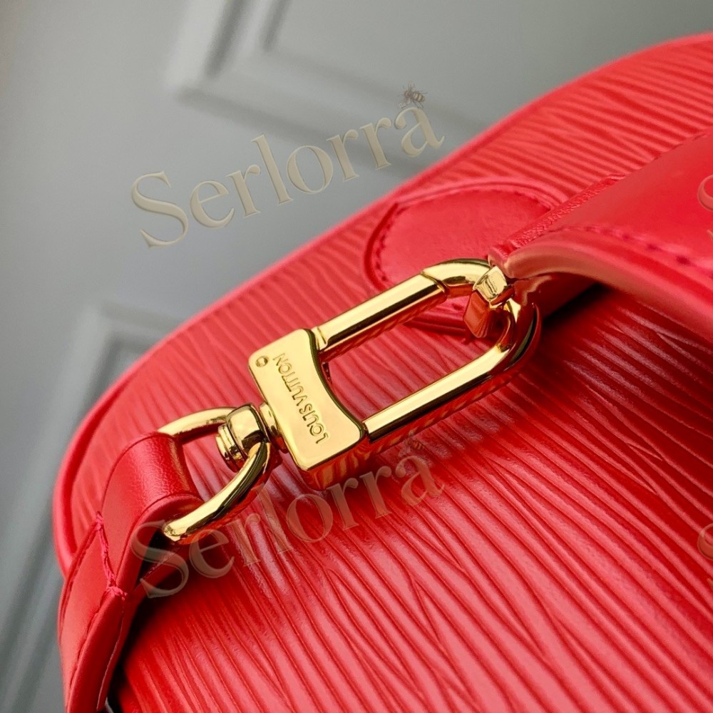 LOUIS VUITTON NICE NANO