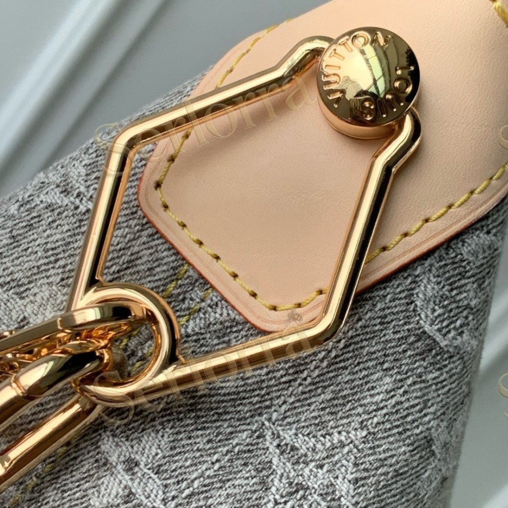LOUIS VUITTON DENIM COUSSIN HOBO MM