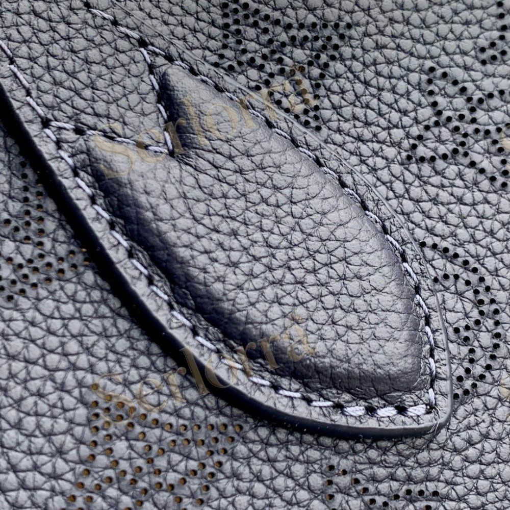 LOUIS VUITTON BLOSSOM PM