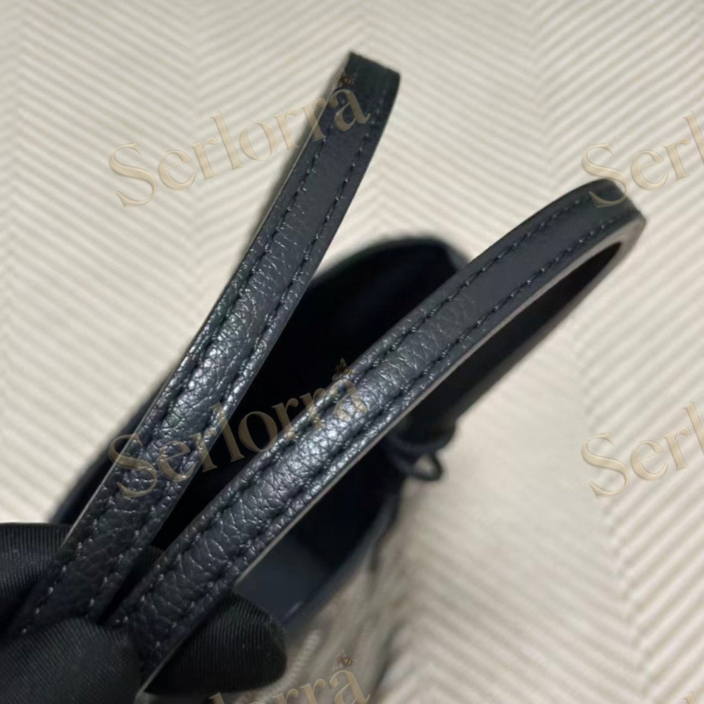 GOYARD ANJOU MINI BAG