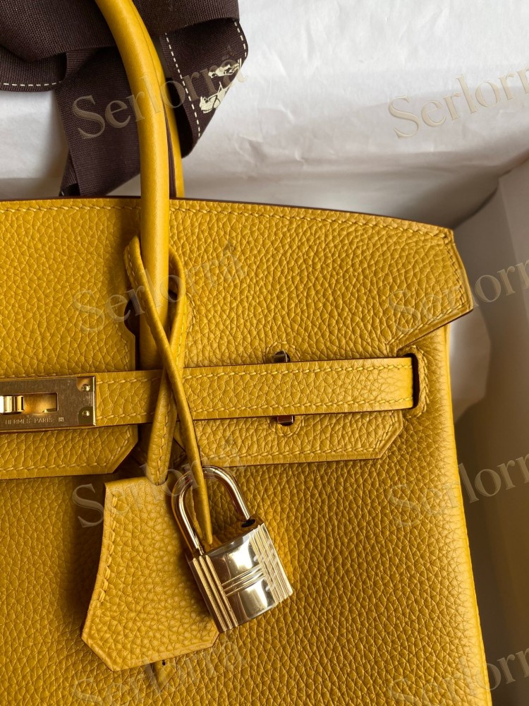 HERMES BIRKIN 25 TOGO LEATHER IN AMBRE WITH GOLD HARDWARE
