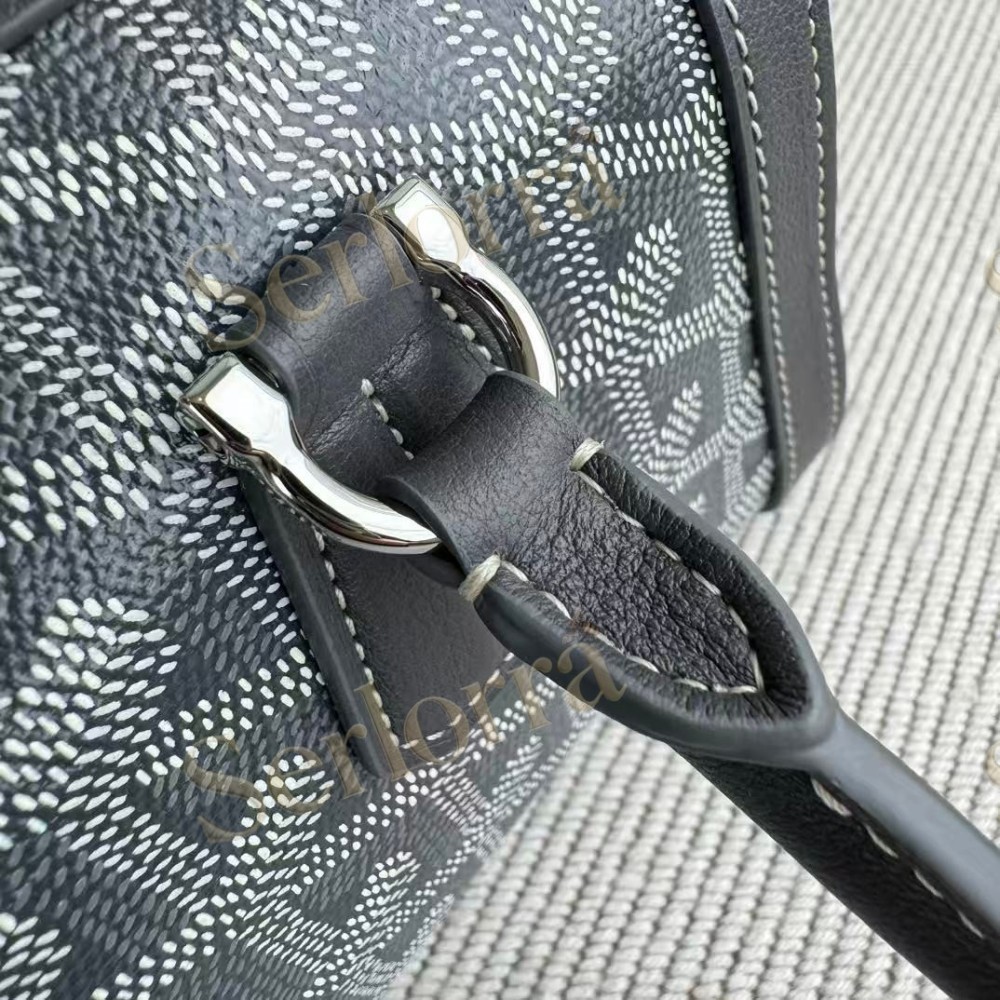 GOYARD BONBONNIÈRE BAG
